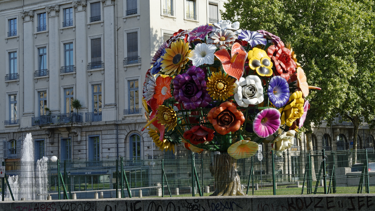 20150704 044  Lyon, Auvergne-Rhone-Alpes, France